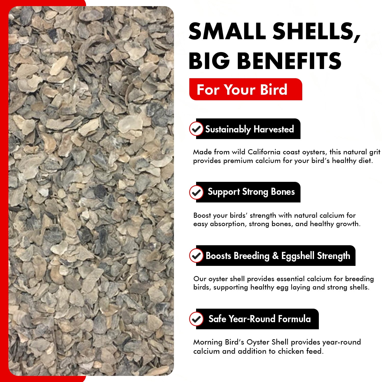 Morning Bird Oyster Shell for Birds 18 lbs (2-Pack, 9 lbs Each) - Natural Calcium Supplement – Sustainably Harvested From California Coast - Safe Year-Round Bird Food Additive