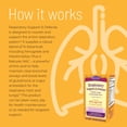 thumbnail image 5 of Nature's Secret Respiratory Support & Defense - 60 Tablets, 5 of 8