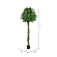 thumbnail image 2 of Vickerman 6' Artificial Potted Bay Leaf Topiary, 2 of 3