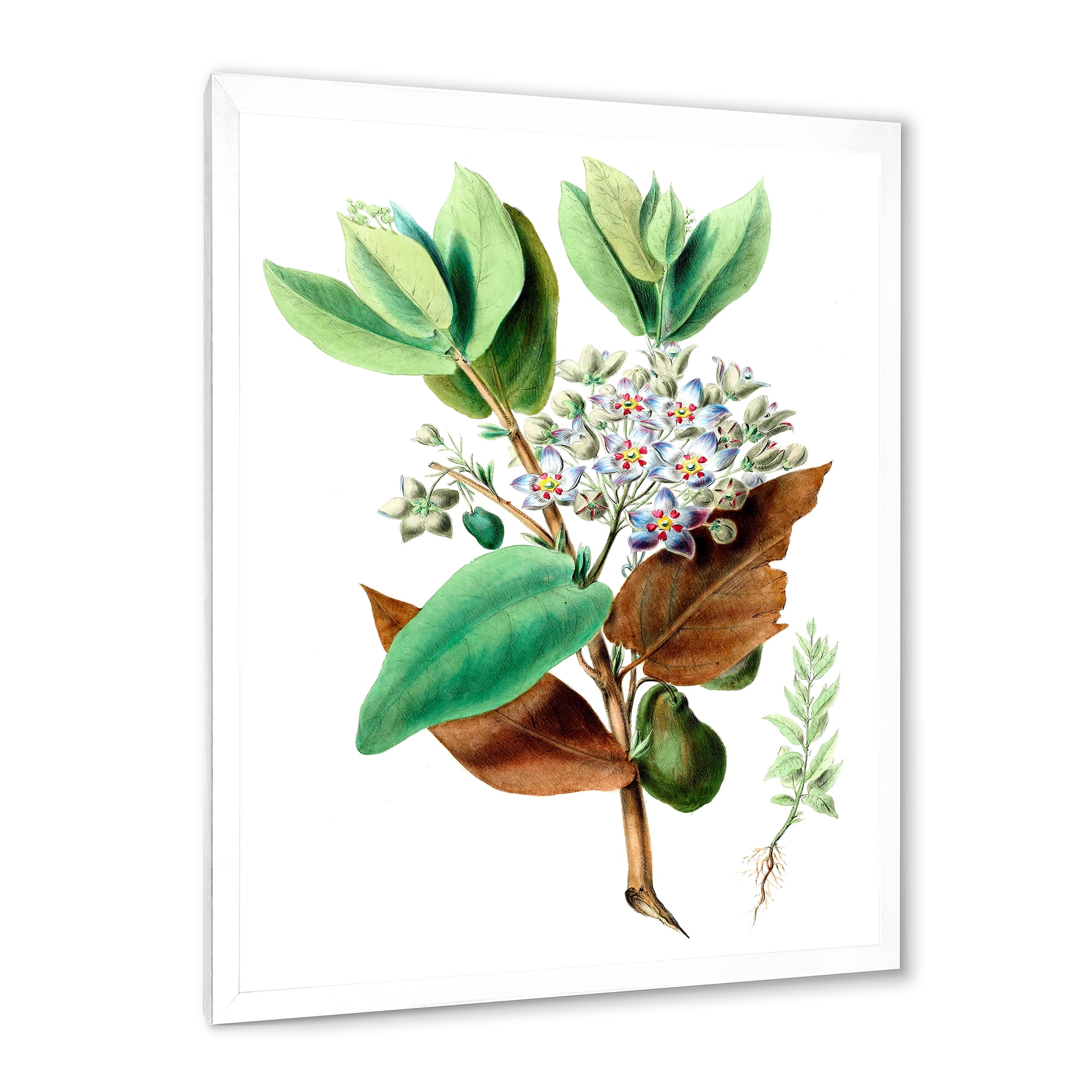 Designart 'Ancient Plant Life XXVIII' Traditional Framed Art Print