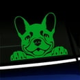 thumbnail image 1 of Peeking Frenchy - French Bulldog - Vinyl Car Decal - Choose Color - [YELLOW GREEN], 1 of 1