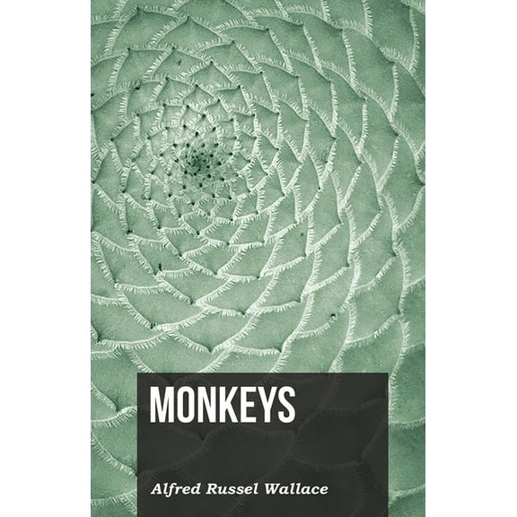 Monkeys, (Paperback)