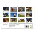 thumbnail image 2 of Grazing cattle in the Franconian Forest (Monthly Wall Calendar 2026 16.5 x 23.4 (open)), CALVENDO 14 Month Calendar, 2 of 9