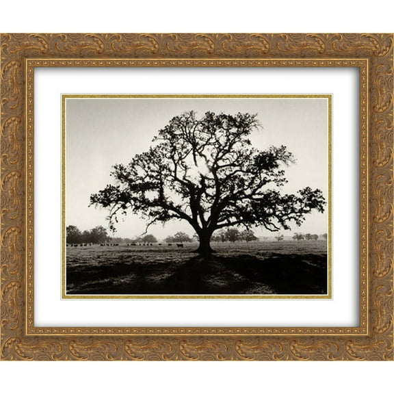 Oak Tree, Sunrise 2x Matted 24x20 Gold Ornate Framed Art Print by Ansel Adams