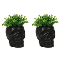 Pack Of 2 Black Ceramic Day Of The Dead Ghastly Skull Planter Bowl Pot Figurine