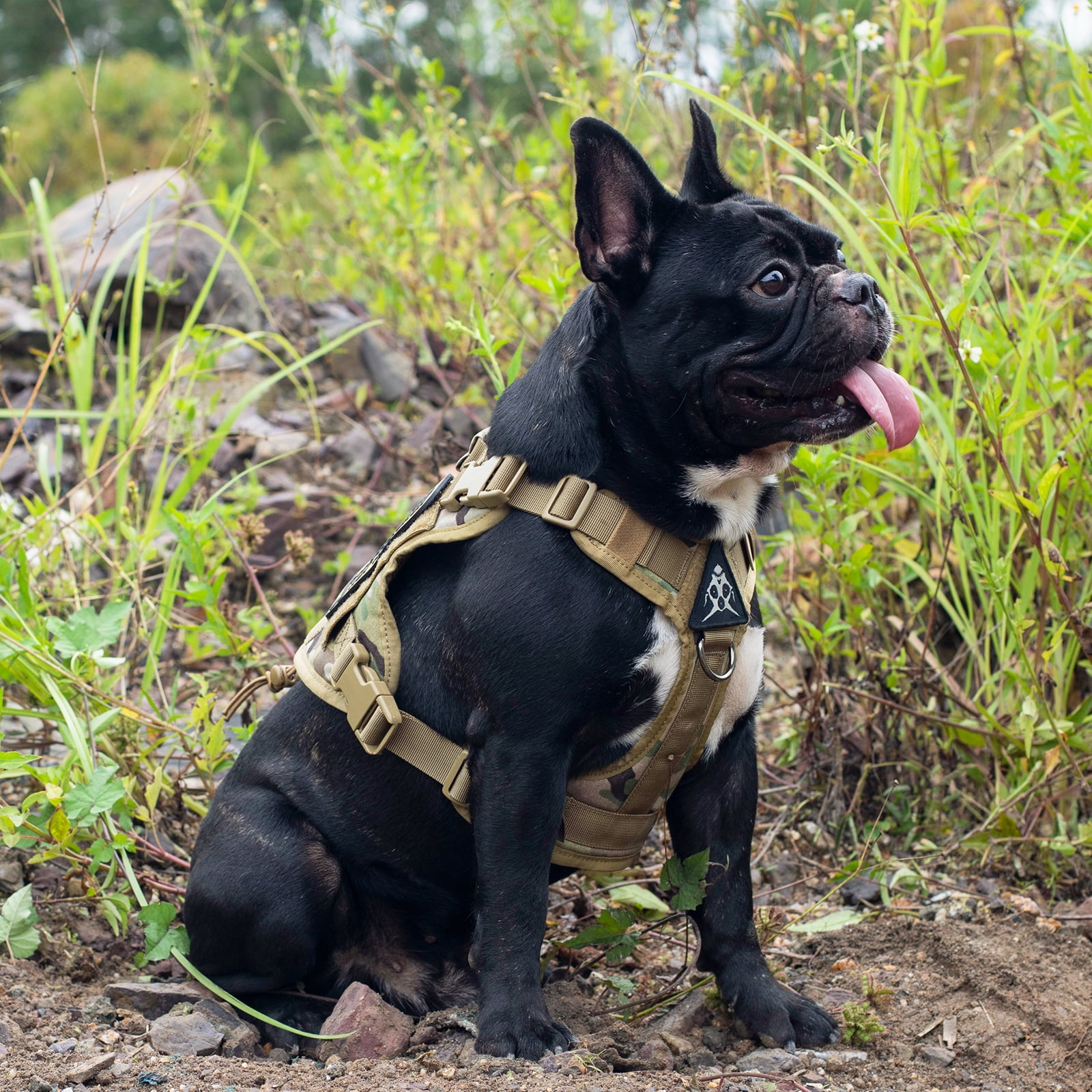 OneTigris Dog Harness Vest with Handle, Dog Harness for Large Medium  Dogs,No-Pull Dog Vest with Hook & Loop Panels,Adjustable Dog Vest Harness  for Walking Hiking Training 