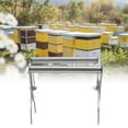 thumbnail image 1 of Pince à Cadre d'Abeille en Acier Inoxydable Pince à Cadre d'Abeille Multifonctionnelle pour Apiculture, 1 of 8