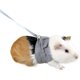 thumbnail image 1 of Arnés para mascotas pequeñas Correa para conejillo de indias Correa para el pecho para caminar de animales pequeños (azul)s,11 Feliz Sencillez, 1 of 3