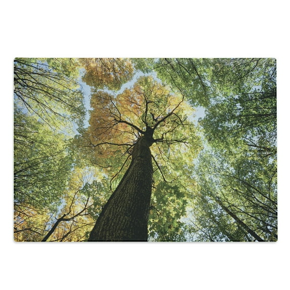 Tree Cutting Board, Forest in Autumn Green Nature Deciduous Foliage Growth Eco, Decorative Tempered Glass Cutting and Serving Board, Large Size, Dark Brown Pale Green, by Ambesonne