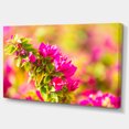 thumbnail image 2 of Belles Fleurs de Bougainvillier Roses - Impression d'Art Floral sur Toile, 2 of 3