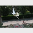 thumbnail image 4 of Pájaro Artificial Plástico Falso Paisaje Decoración en Miniatura Jardín Hogar Estatuilla Navidad 3 Colco Pájaro artificial, 4 of 7