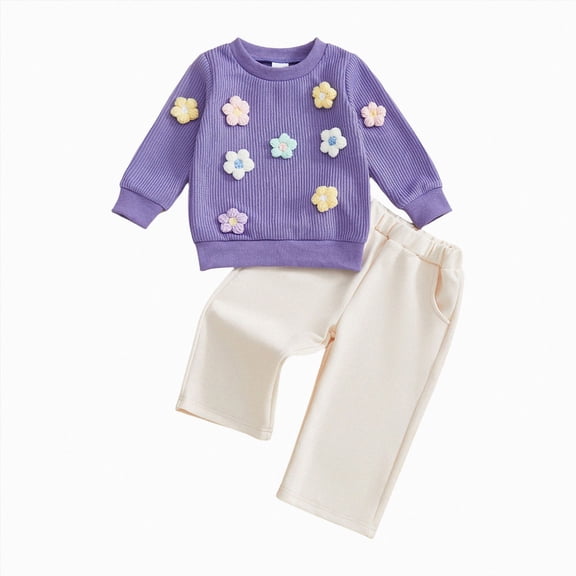 Caqnni 2-3 Years Baby Toddler Girl 2 Pieces Set Outfits Long Sleeved Tops and Pants Fall Winter Clothes 0 6 12 18 24 Months 2T 3T 4T 2 PC Playwear Set A123-Purple