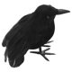 thumbnail image 1 of 1/3/6 Animal modelo pluma simulación negro cuervo adornos decoraciones de Halloween, 1 of 3