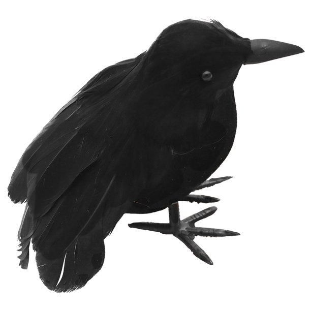 1/3/6 Animal modelo pluma simulación negro cuervo adornos decoraciones de Halloween