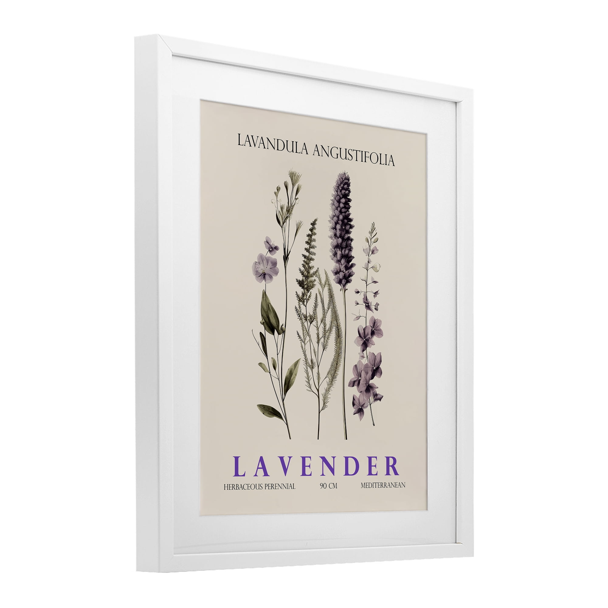 Stupell Industries Natural Lavender Bundle White Framed Print Under Glass, design by Christopher Giampietro