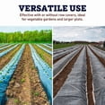 thumbnail image 2 of Harris Seeds Black Plastic Mulch Film for Agricultural Vegetable Plant, Moisture Retention, Insulation - 4' x 4000', 2 of 8