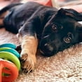 thumbnail image 4 of Dogs In Action DNA Small, 4 of 8