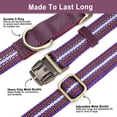 thumbnail image 4 of Didog Personalized Nylon Dog Collar Engraved Brass Buckle with Name and Phone S M L, 4 of 8