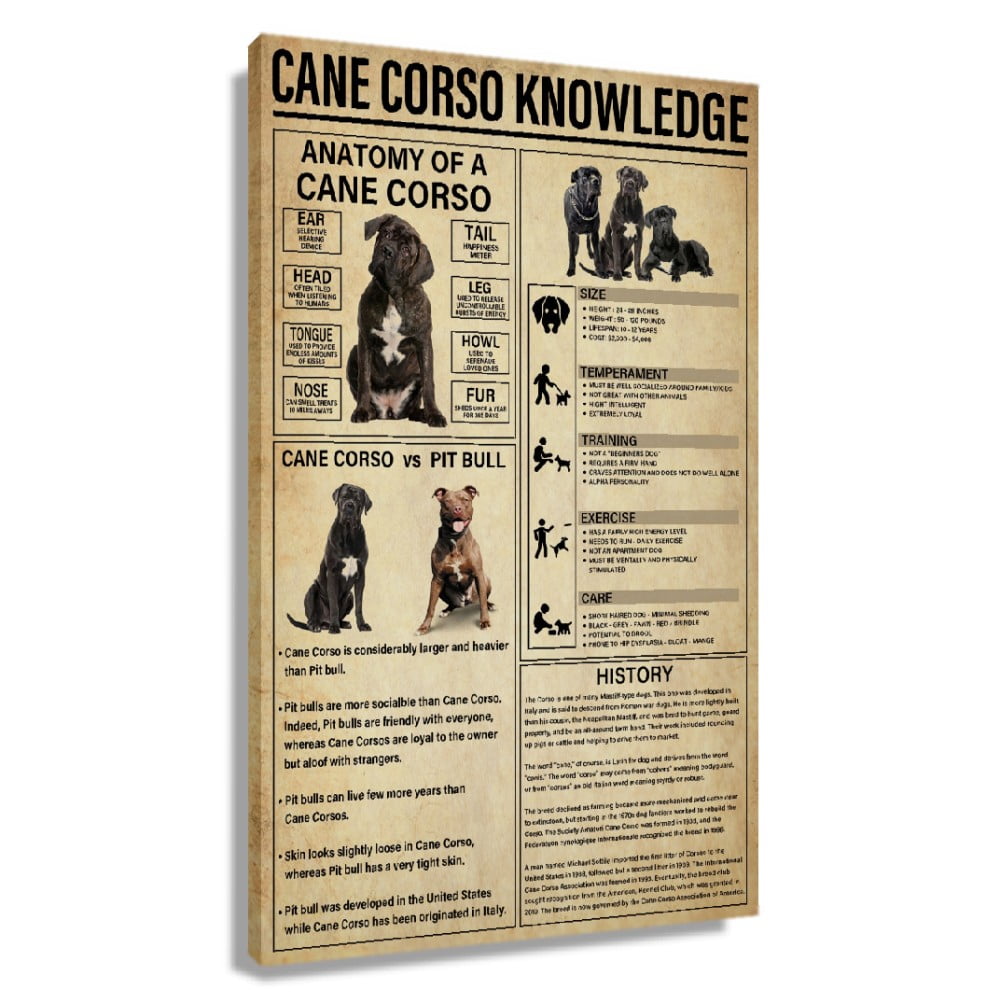 Cane Corso Dog Knowledge Poster Educational Wall Art Infographic Poster ...