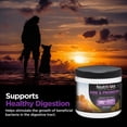thumbnail image 5 of Nutri-Vet Pre/Probiotic Immune Supporting Soft Chews for Dogs - 120 Ct., 5 of 8