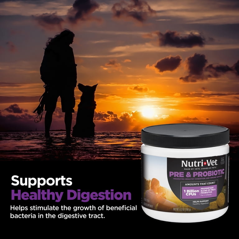 Nutri-Vet Pre/Probiotic Soft Chews for Dogs, 120 Count photo 4