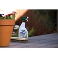 thumbnail image 6 of Scotts Outdoor Cleaner Plus OxiClean - Outdoor Patio Liquid Cleaner - 32 oz, 6 of 6