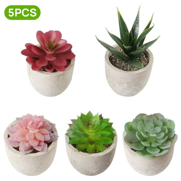 FGY Artificial Succulents Set of 5 Fake Succulent in Pots for Home and Office Décor