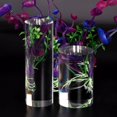 thumbnail image 4 of MECCANIXITY Clear Acrylic Solid Cylinder Round Display Riser, 4.7 inches (Height) x 1.6 inches (Diameter), for Showing Your Collectibles, Cosmetics, 4 of 4