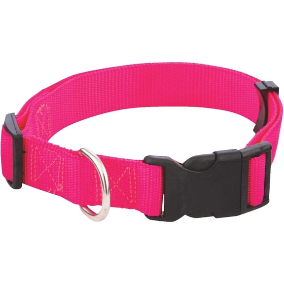 Westminster Pet 34143 Nylon Pet Fashion Collar