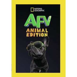 America's Funniest Home Videos: Volume 1 (DVD), Shout Factory