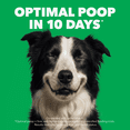 thumbnail image 3 of Iams Proactive Health Puppy Dry Dog Food Chicken & Whole Grain Recipe 1.5kg, 3 of 16