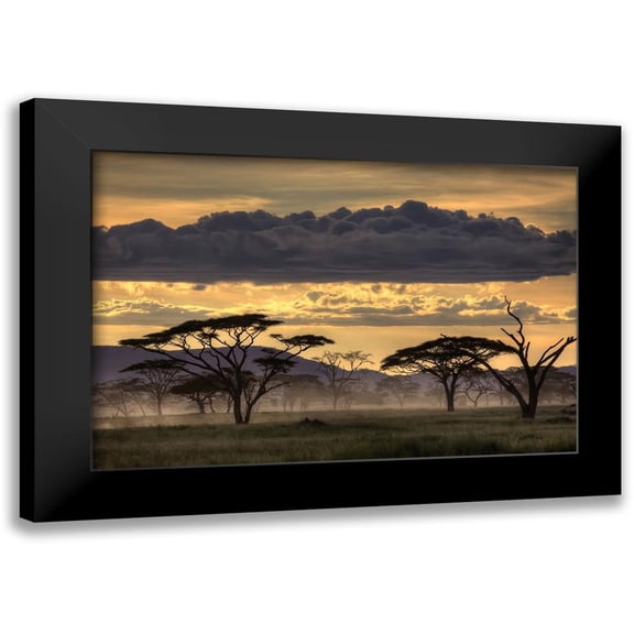 Eichelberg, Amnon 18x13 Black Modern Framed Museum Art Print Titled - Good evening tanazania