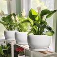 thumbnail image 4 of Ordivic 8 inch Glossy White Ceramic Planter with Drainage Hole & Tray, Indoor Outdoor Round Flower Pot for ZZ Plants,Home Patio Decor, 4 of 6