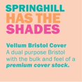 thumbnail image 5 of Springhill Peach Colored Cardstock Paper, 67lb Vellum Bristol, 147gsm, 8.5 x 11 card stock, 1 Reams / 250 Sheets - Lightweight Cardstock with Vellum Finish (058000R) 8.5x11 1 Ream, 5 of 7