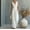 2# White, variant on Jumpsuit for Women Dressy Sleeveless V Neck High Waist Casual Jumpsuits Summer Slim Fit Straight Leg Rompers Wine S