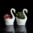 thumbnail image 4 of White Ceramic Flower Pot Small Succulent Planter Home Office Tabletop Modern Minimalist Compact Durable Indoor Decoration Gift Plant Holder Window Sill Countertop Neutral Style, 4 of 8