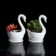 thumbnail image 4 of Maceta Blanca, 4 of 7