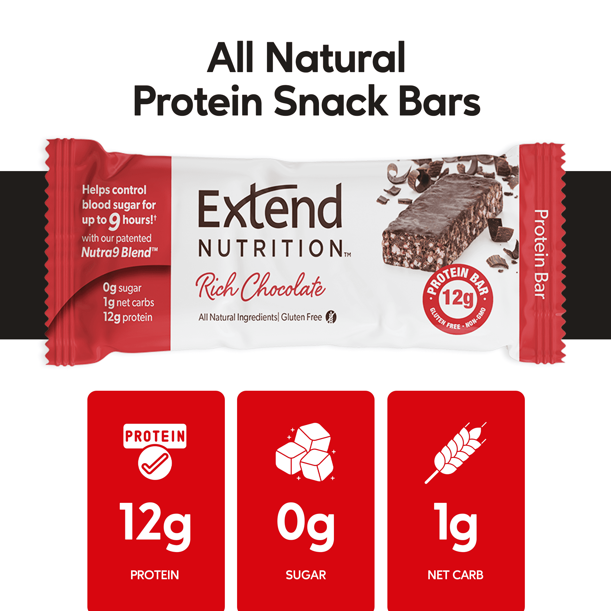 Extend Nutrition Bar, Low Carb, Sugar Free, Protein Bars, Rich Chocolate, 12 Count