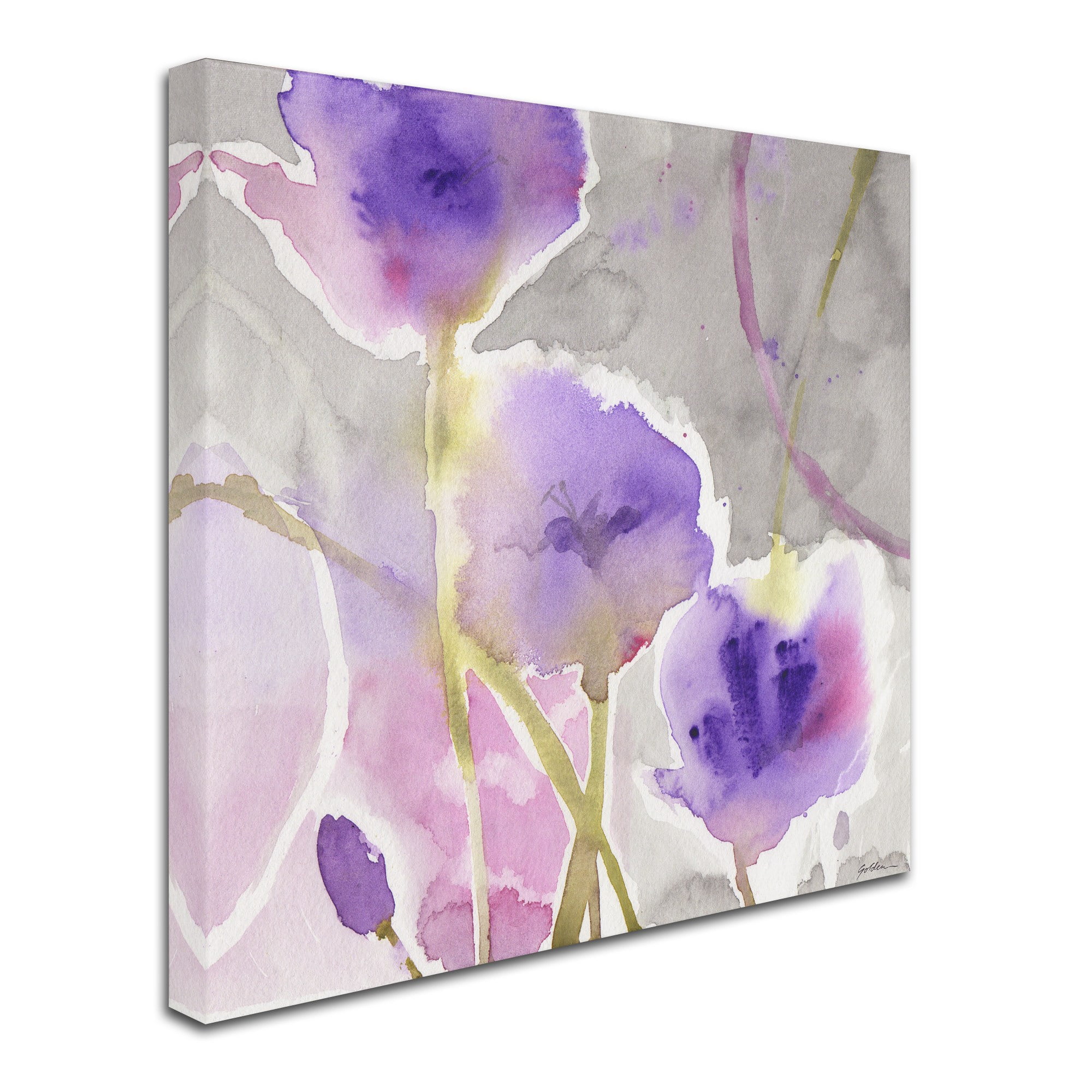 Trademark Fine Art "Deep Purple" Canvas Art by Sheila Golden