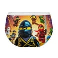 thumbnail image 4 of Ninjago Women's Brief Lady Lace Underwear Breathable Elastic Sexy Bikini Hipster Panties, 4 of 6