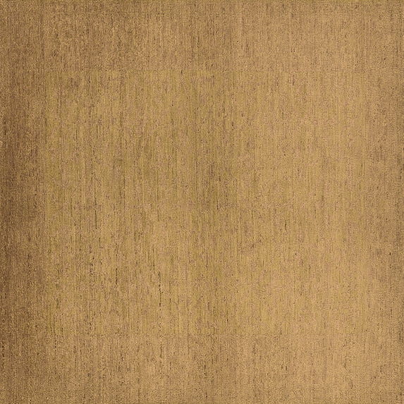 Ahgly Company Indoor Square Solid Brown Modern Area Rugs, 5' Square