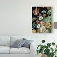 thumbnail image 3 of Trademark Fine Art 'Baroque Floral I' Canvas Art by Melissa Wang, 3 of 4
