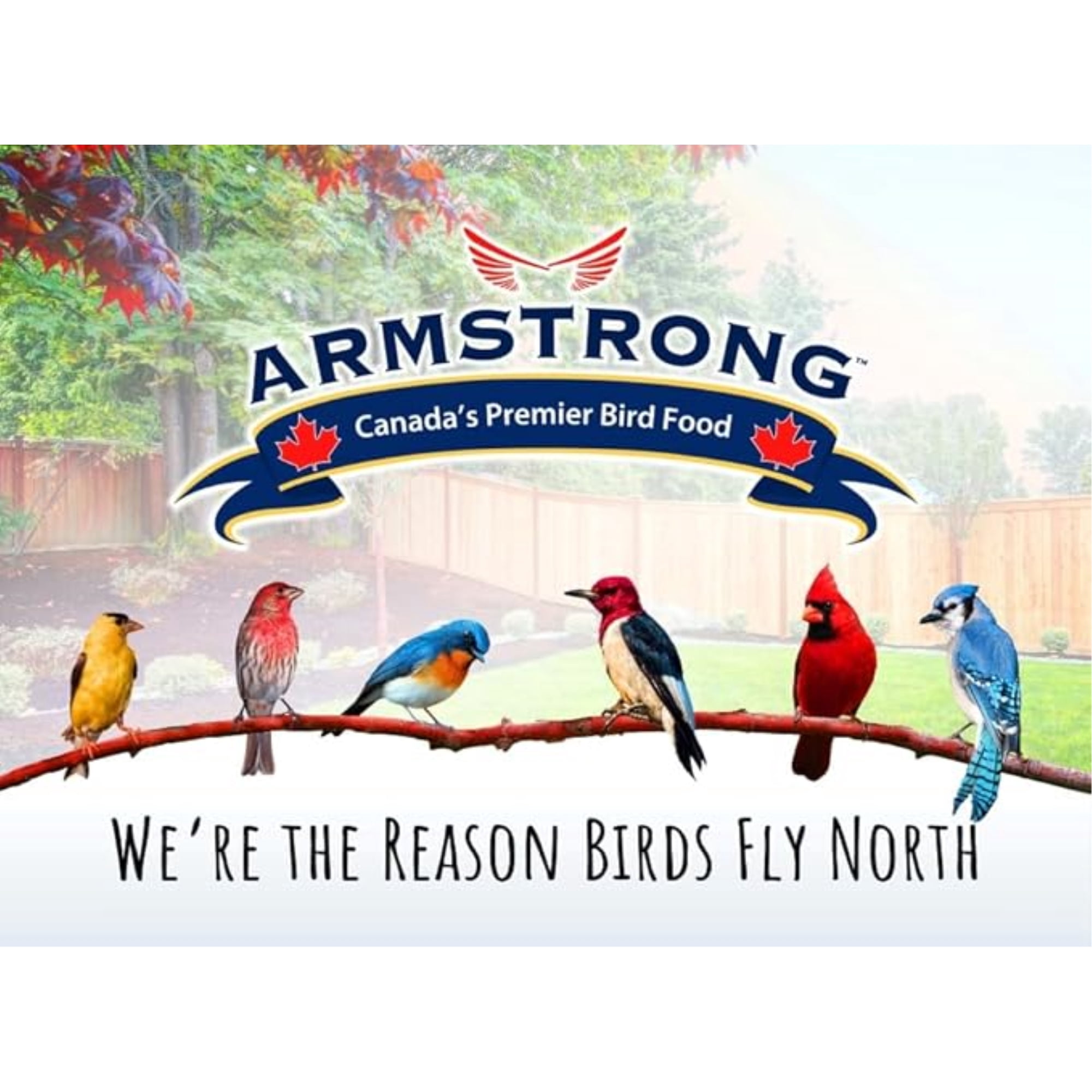 Armstrong Wild Bird Food Premium Year-Round Bird Seed Blend, 5lb Jug