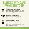 thumbnail image 4 of Mezcla desintoxicante Dandelion Wellness de Tea Celestial Seasonings, 16 bolsas, 4 of 7