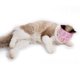 thumbnail image 4 of Bozales para gatos multiusos ajustable resistencia a las mordeduras cubierta de boca de gato de malla transpirable para gatos gatitos rosa, 4 of 10