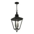 thumbnail image 3 of 27377-04-Livex Lighting-Adams - 3 Light Large Outdoor Pendant In Traditional Style-25.25 Inches Tall and 10.63 Inches Wide-Black/Brushed Nickel Finish, 3 of 14