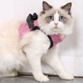 thumbnail image 1 of Cat Harnesses Vest Leash Set With Adjustable Buckle Comfortable Breathable Escape-proof Pet Clothes, 1 of 9