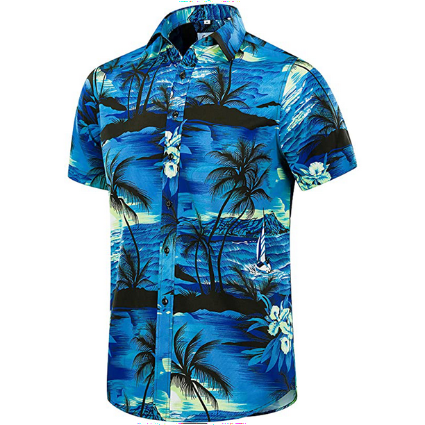 GRTXIN Men's Beach Shirt Vintage Quick-drying Short-sleeved Seaside ...