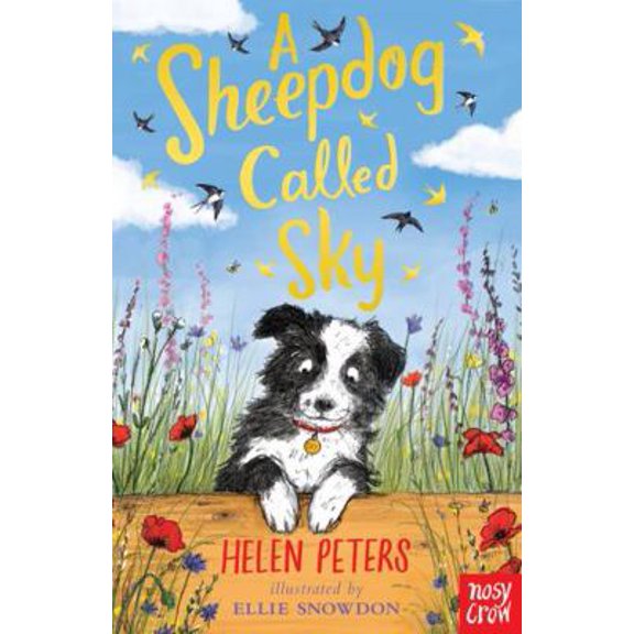 Pre-Owned A Sheepdog Called Sky (Paperback) 0857639110 9780857639110