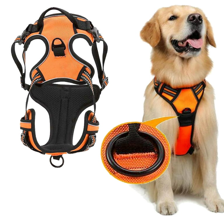 Front Range® Dog Harness